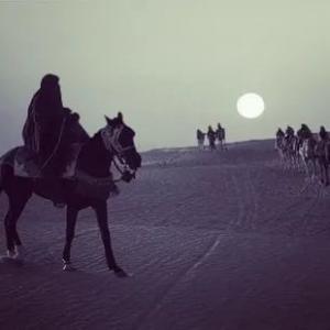 ZLoy Dagestanec Maga