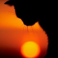 Андрей Двинковский