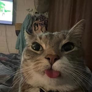 Сын играет