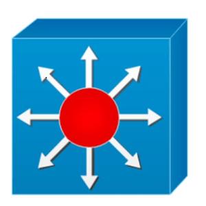 Адель Салахиев